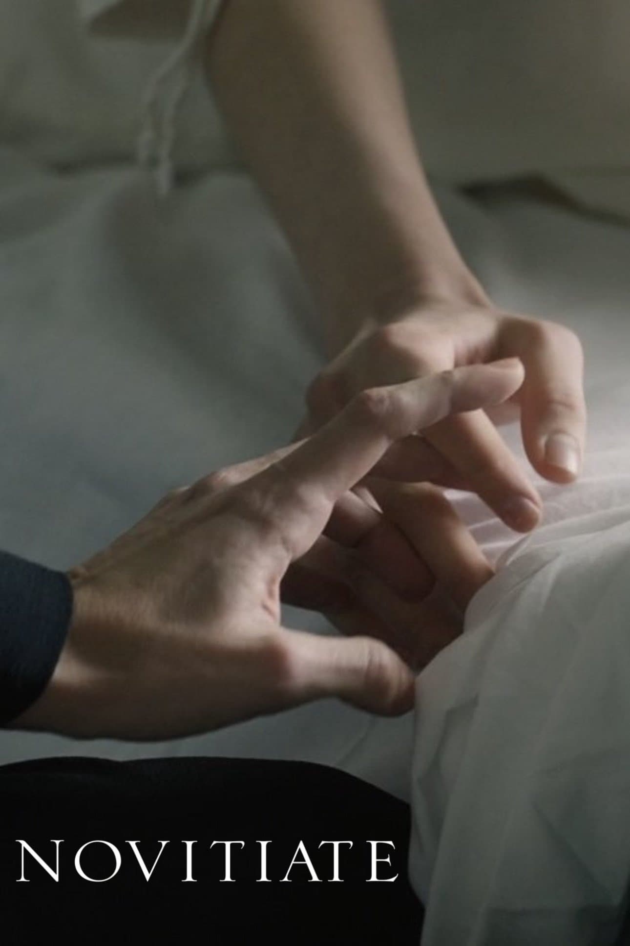 Novitiate photo