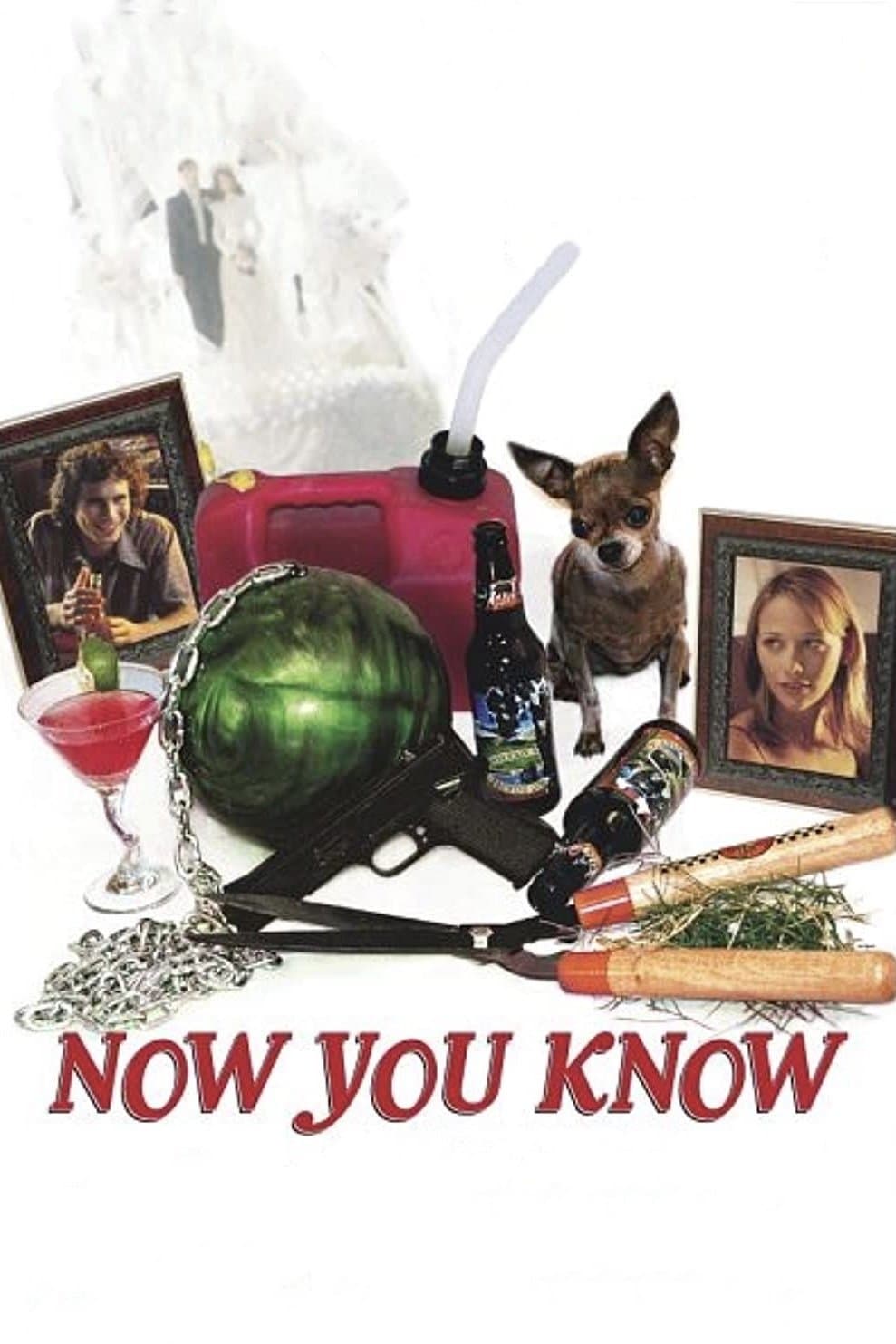 Now You Know photo
