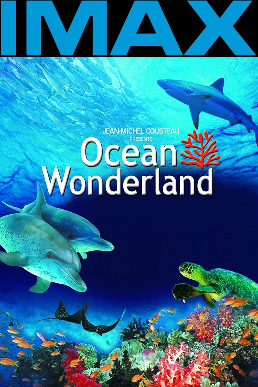 Ocean Wonderland 3D photo