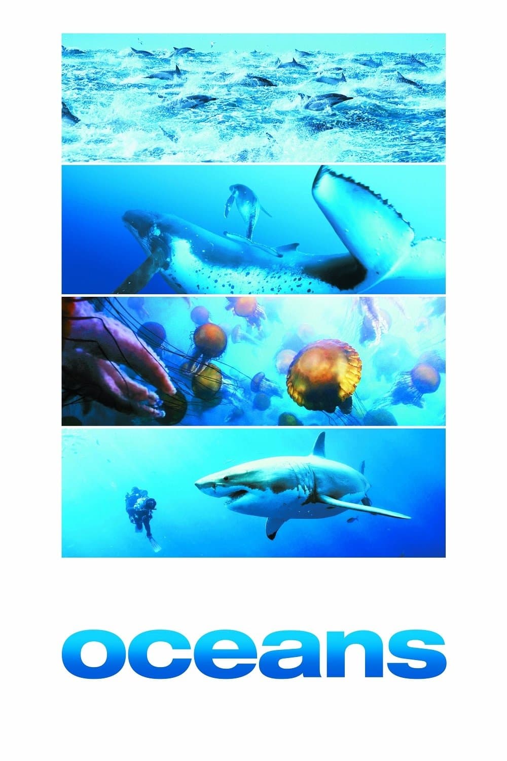 Oceans photo
