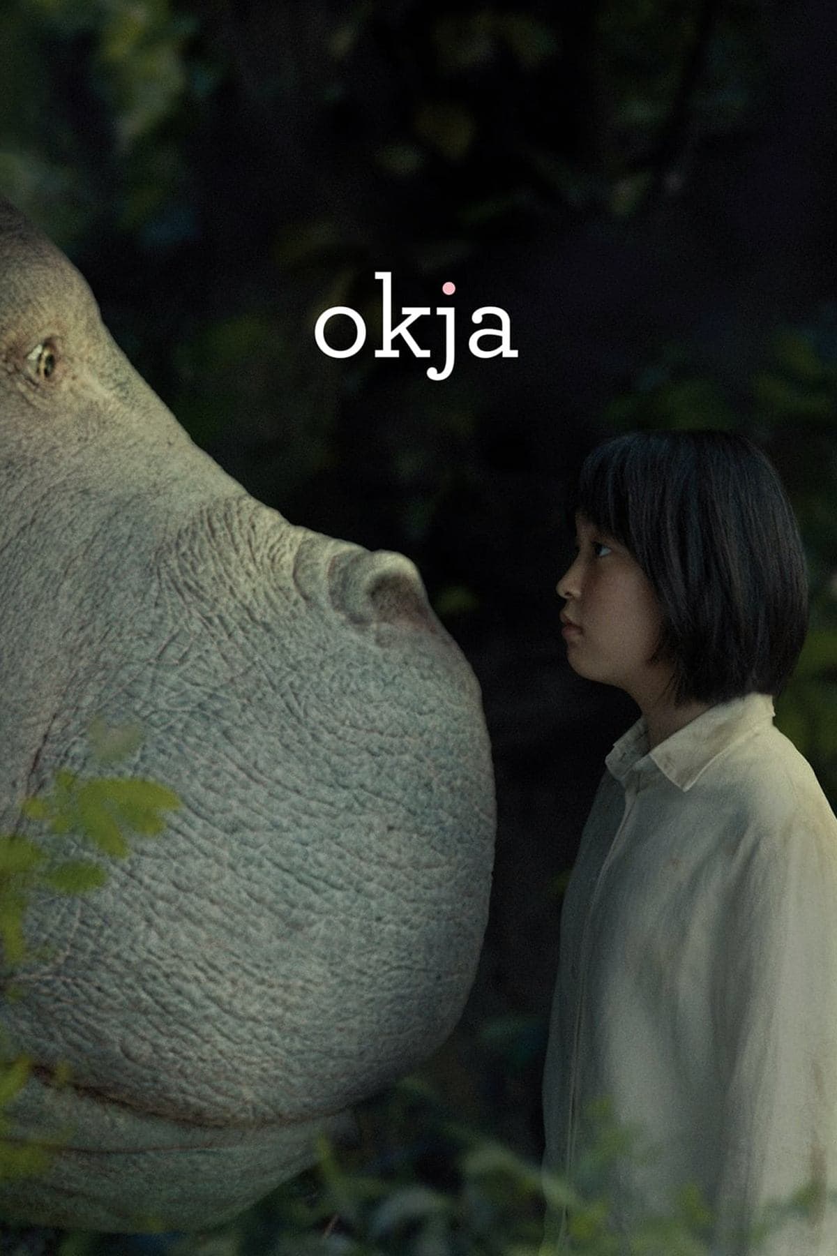 Okja photo