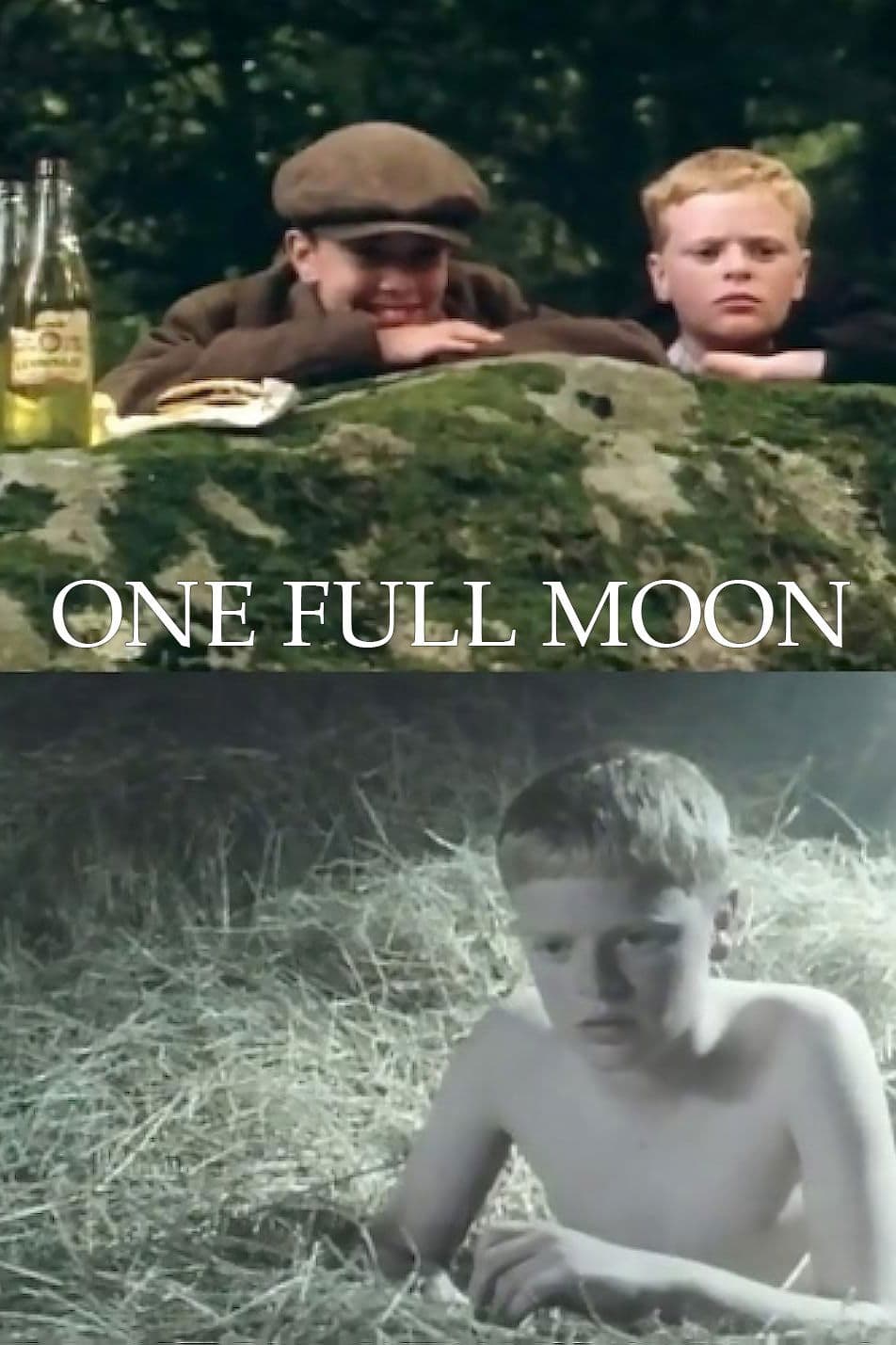 One Full Moon photo