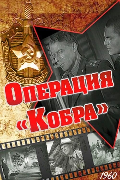 Operation Cobra photo