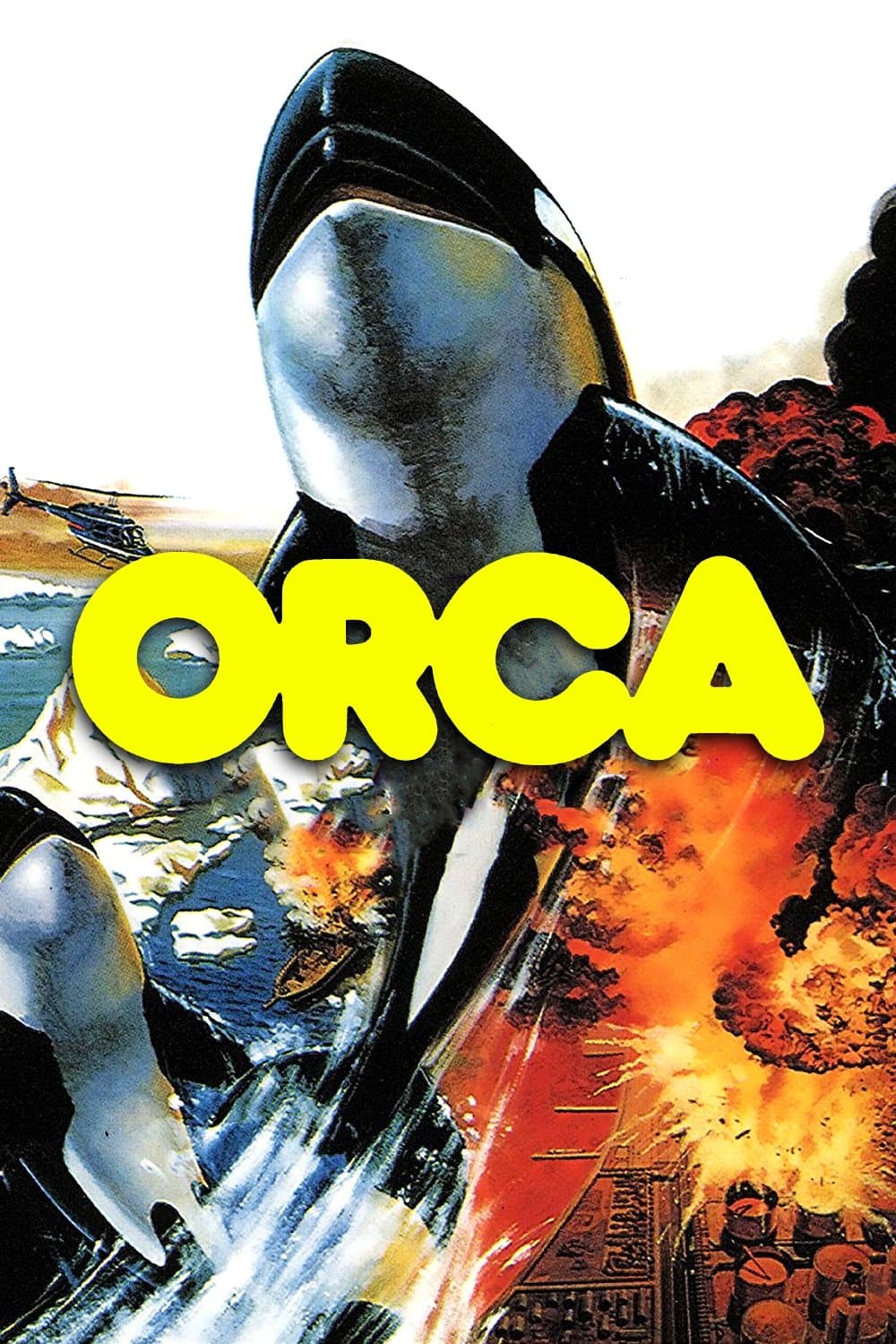 Orca photo