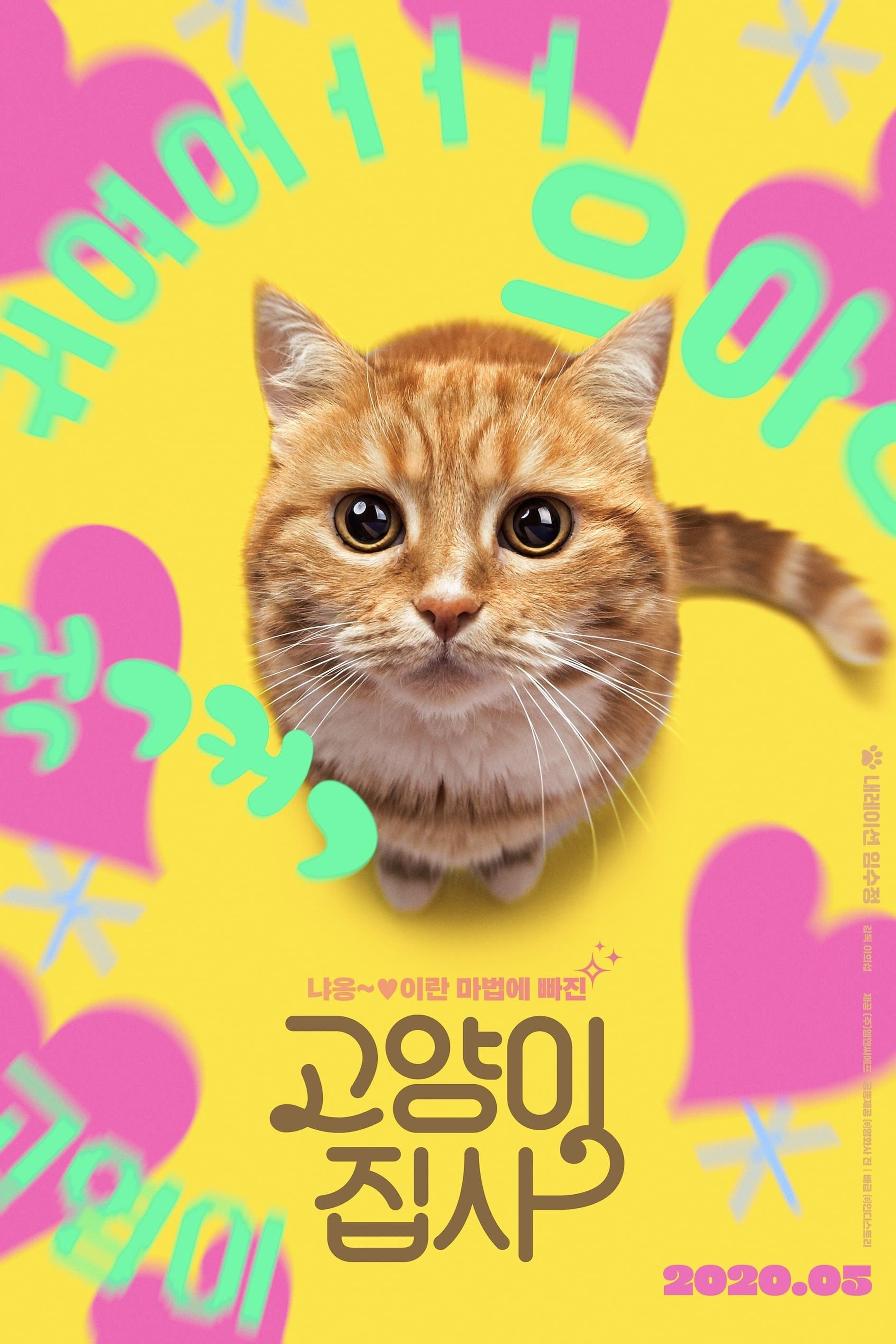 Our Cat photo