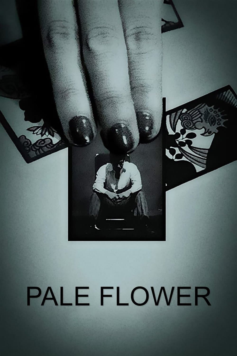 Pale Flower photo