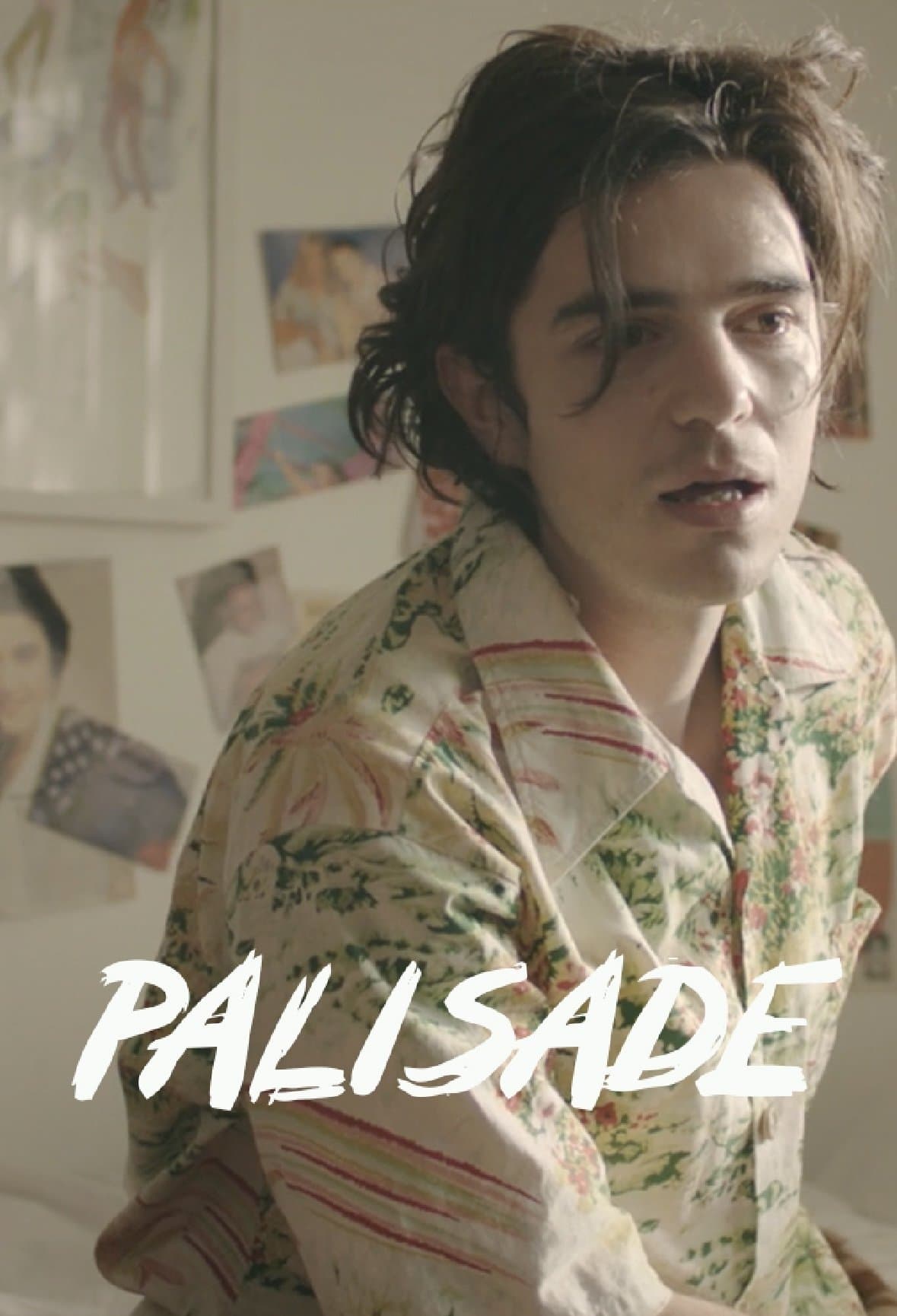 Palisade photo