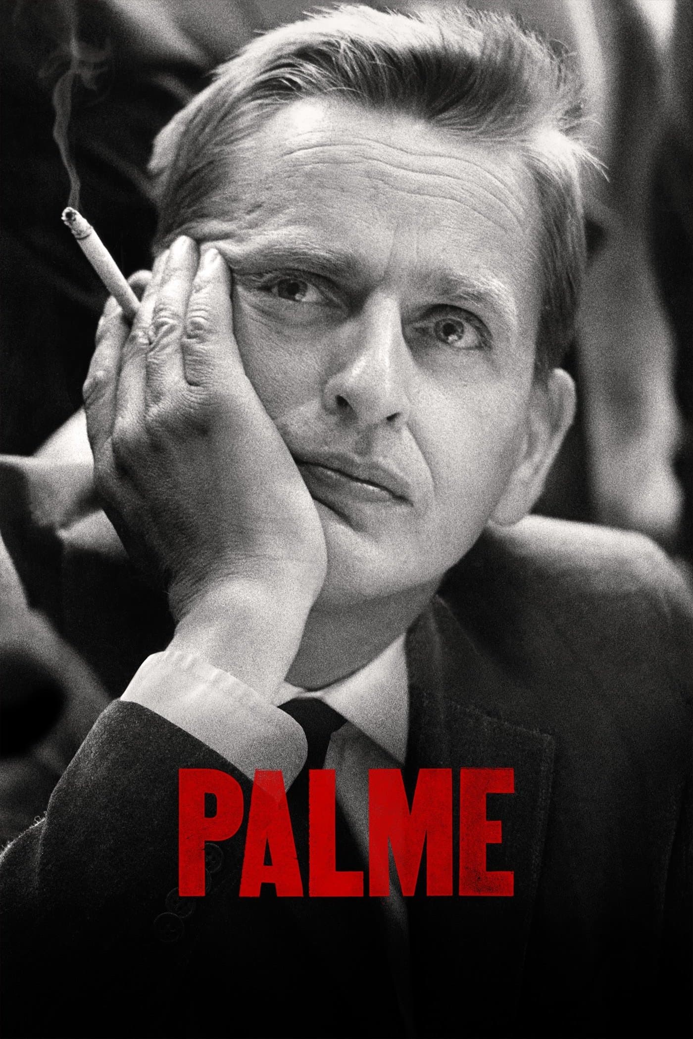 Palme photo