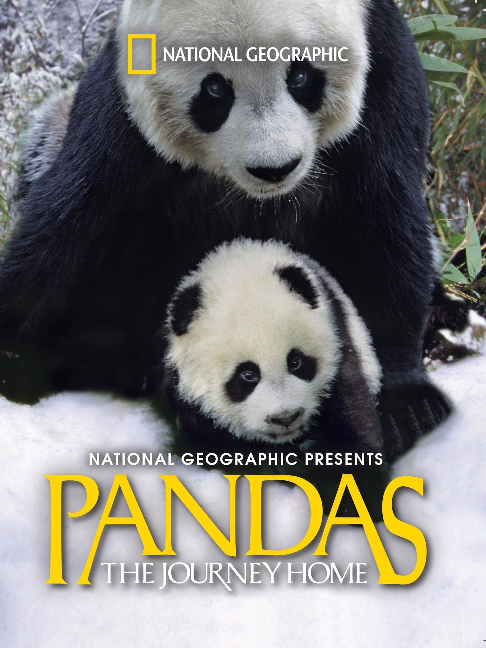 Pandas: The Journey Home photo