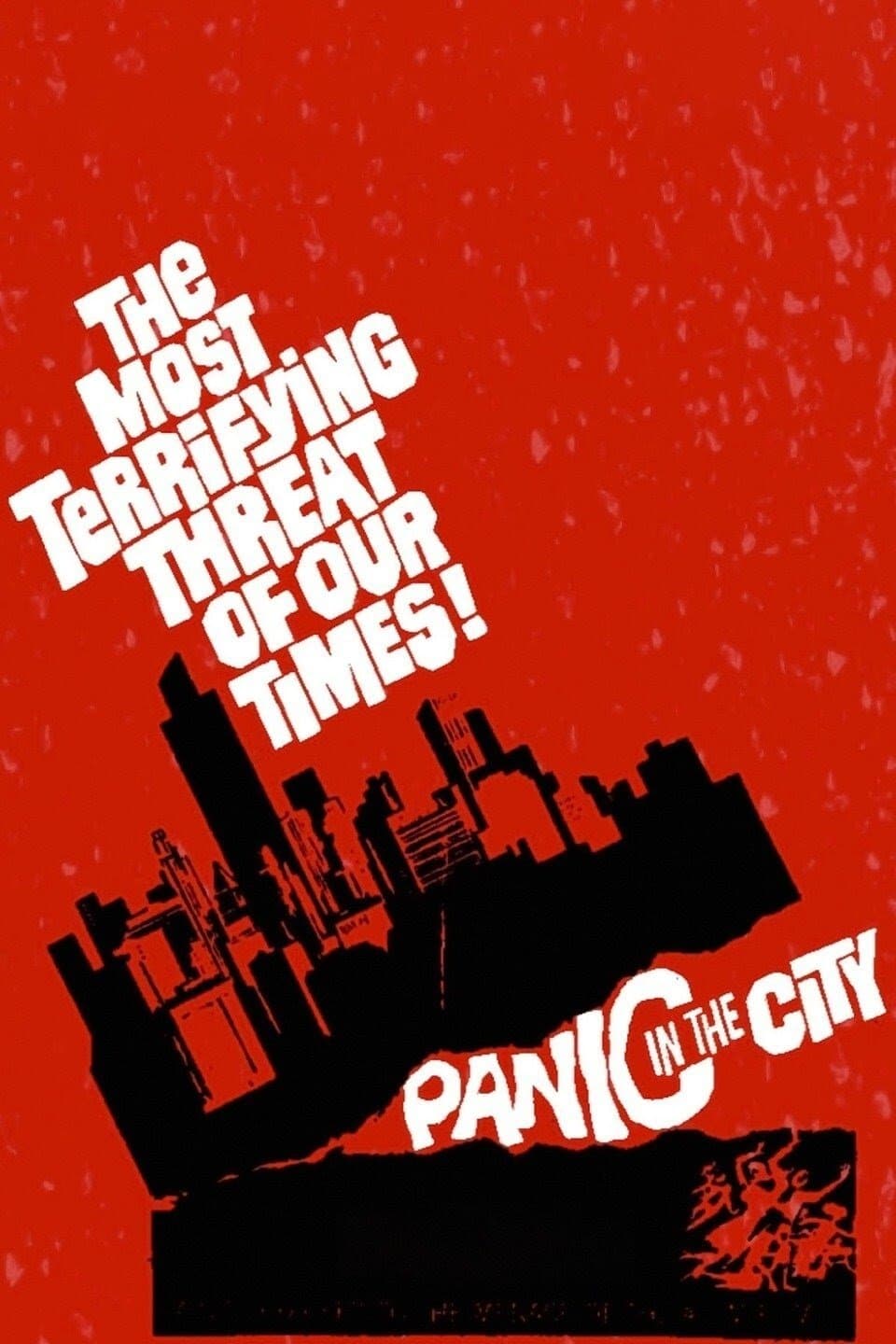 Panic in the City photo