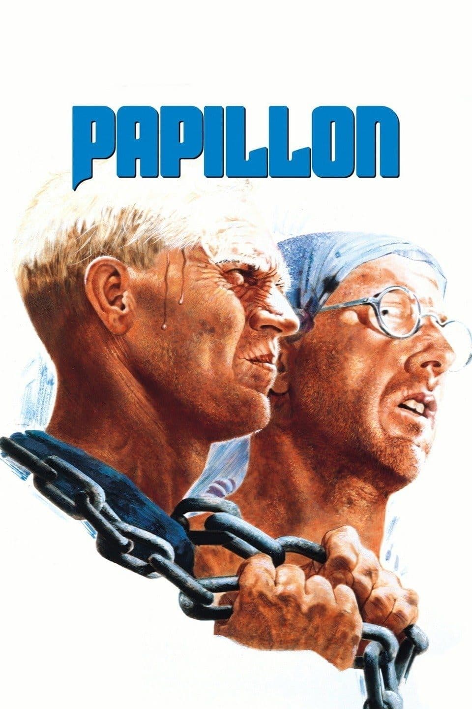 Papillon photo