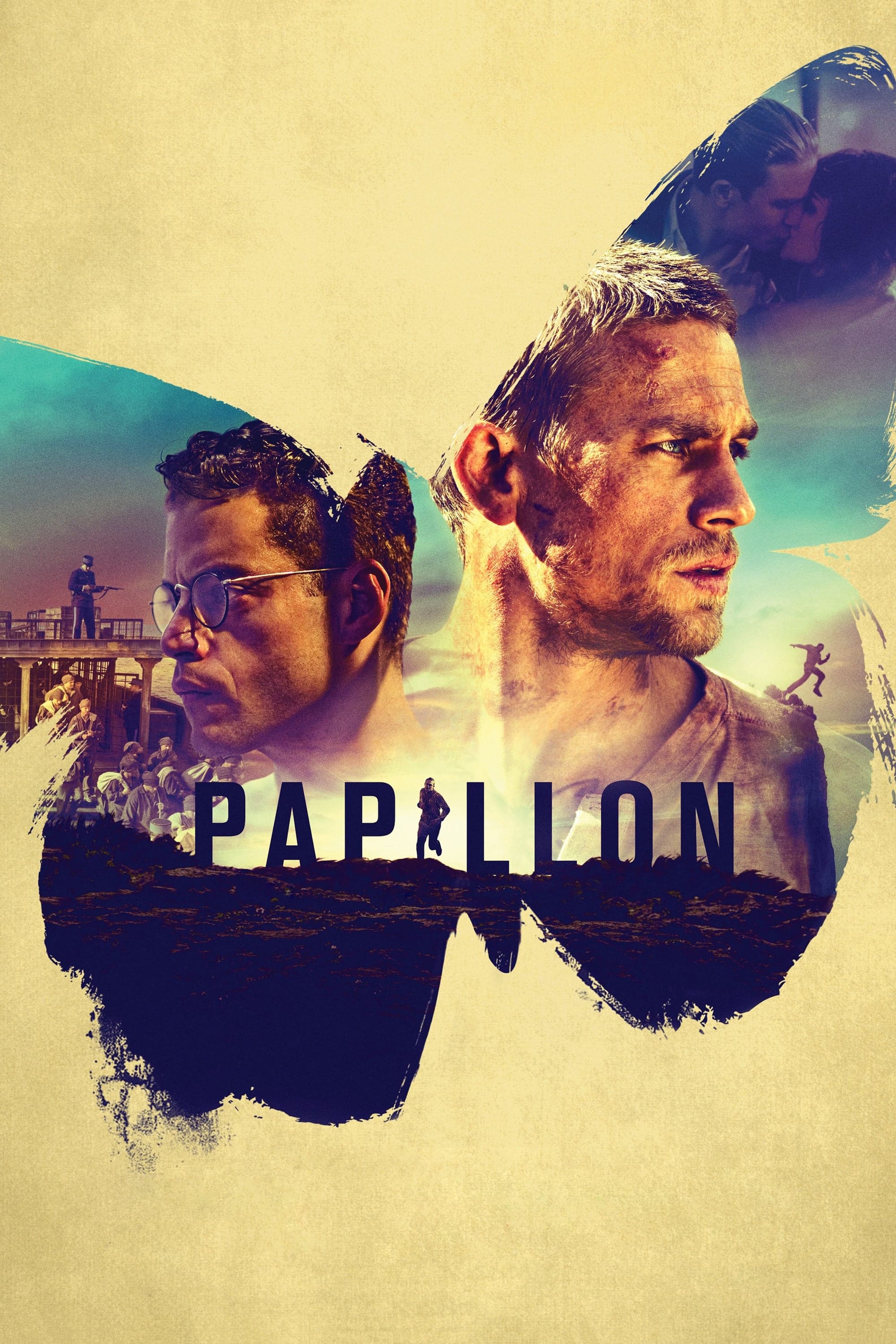 Papillon photo