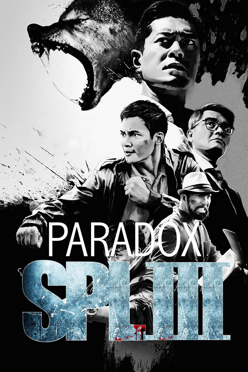 Paradox photo
