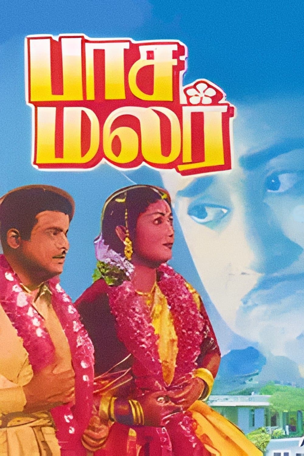 Pasamalar photo