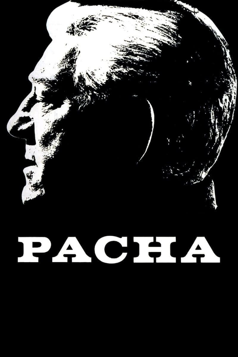 Pasha photo