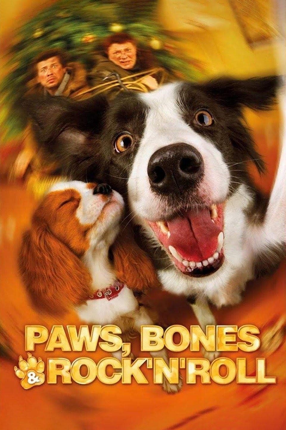 Paws, Bones & Rock'n'roll photo