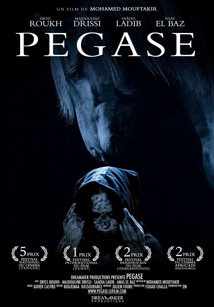 Pegasus photo