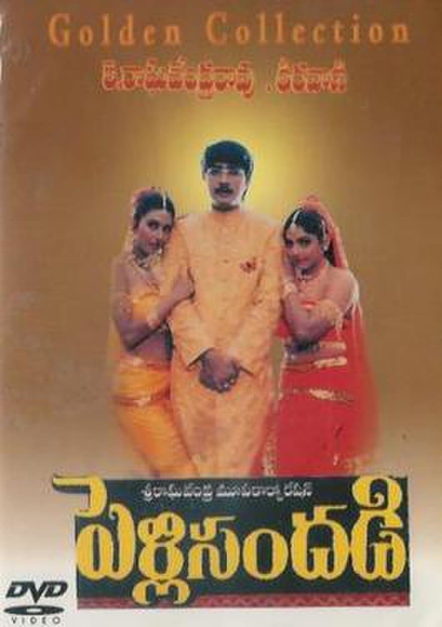 Pelli Sandadi photo