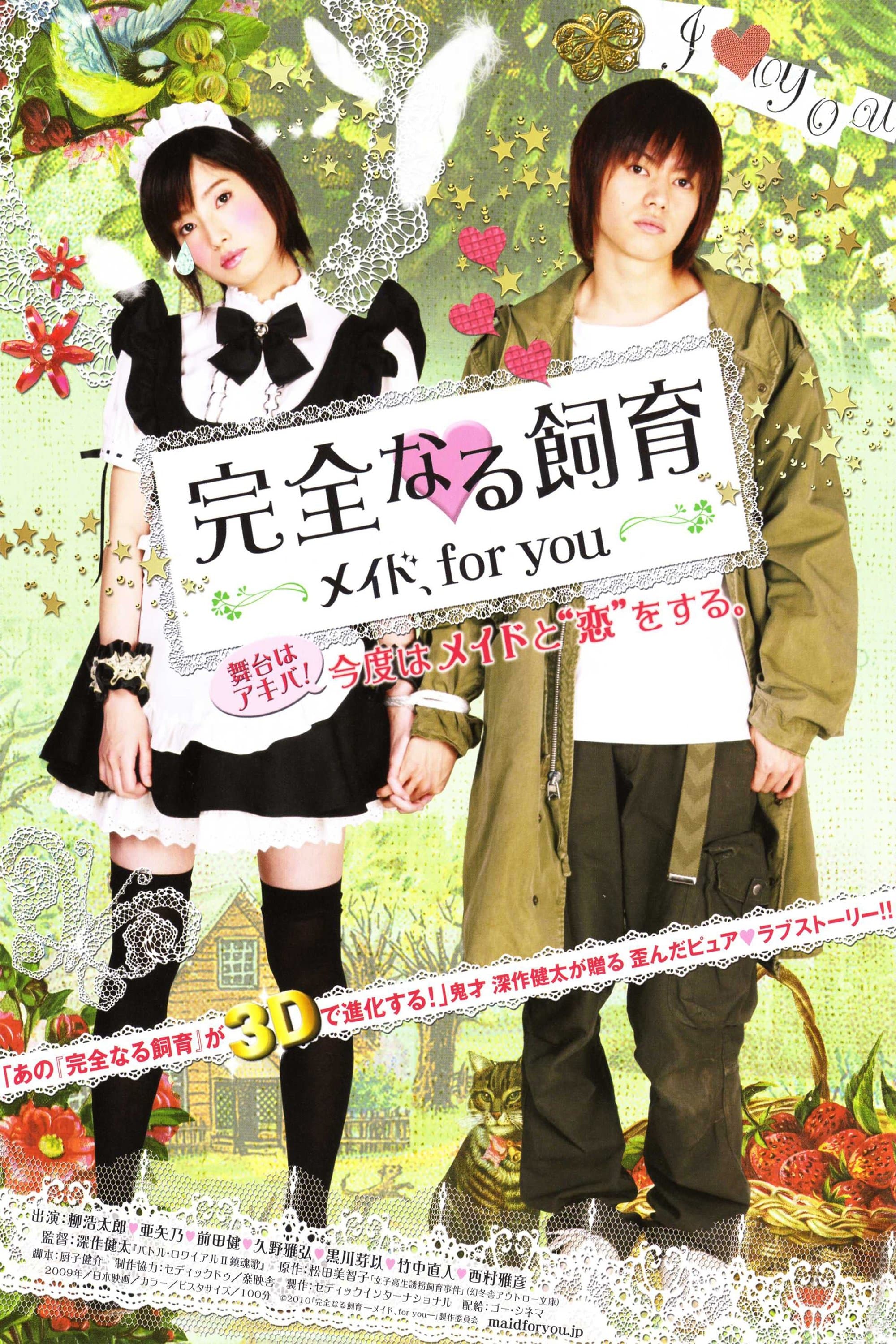 Perfect Education: A Maid for You photo
