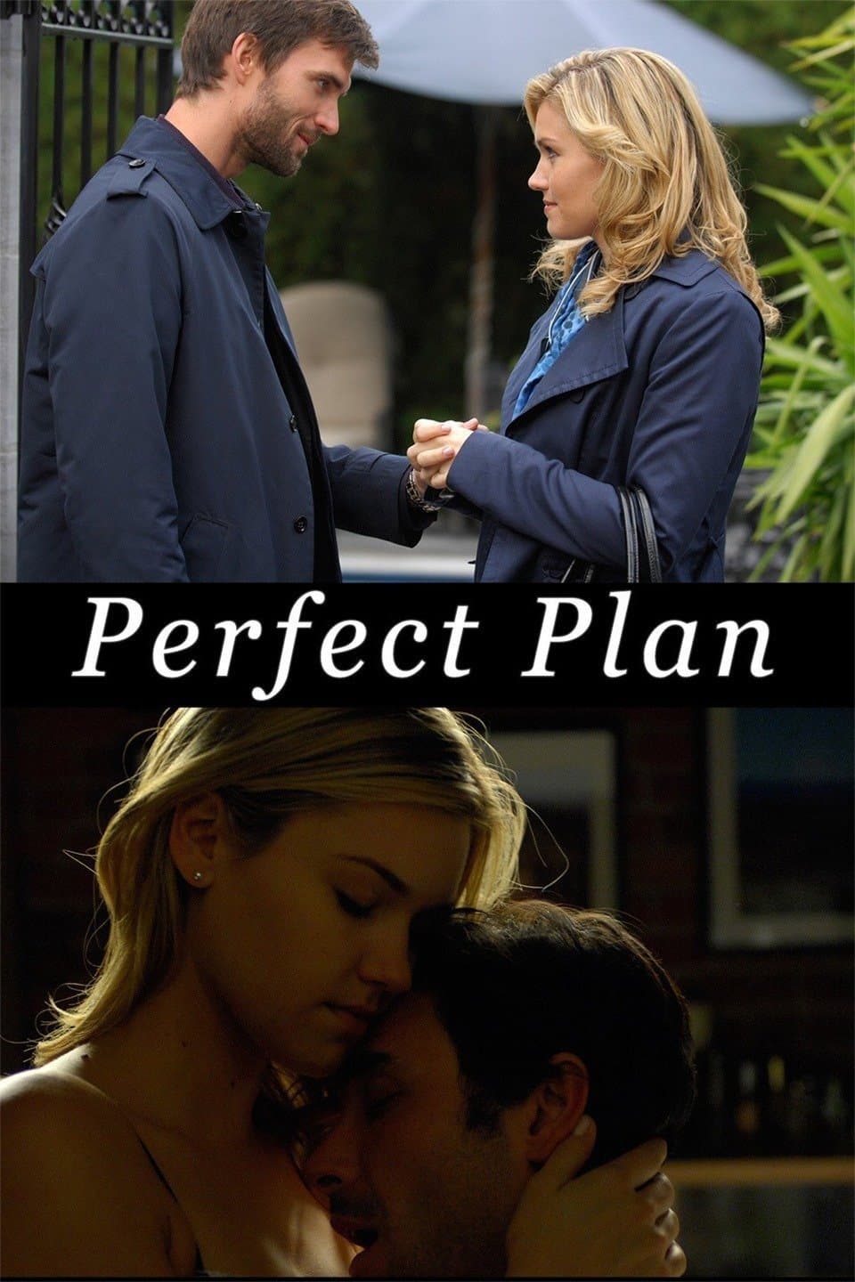 Perfect Plan photo