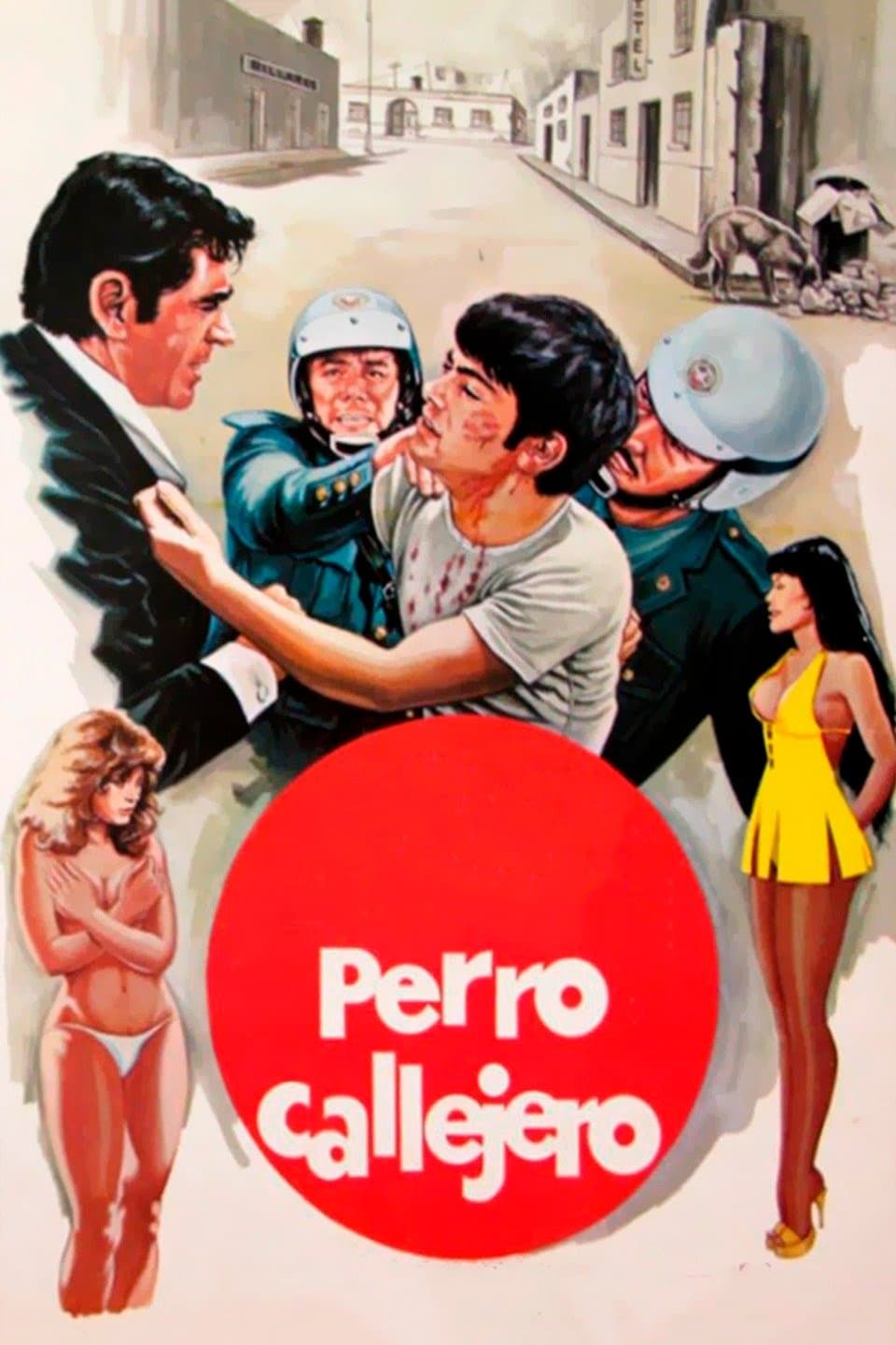 Perro callejero photo