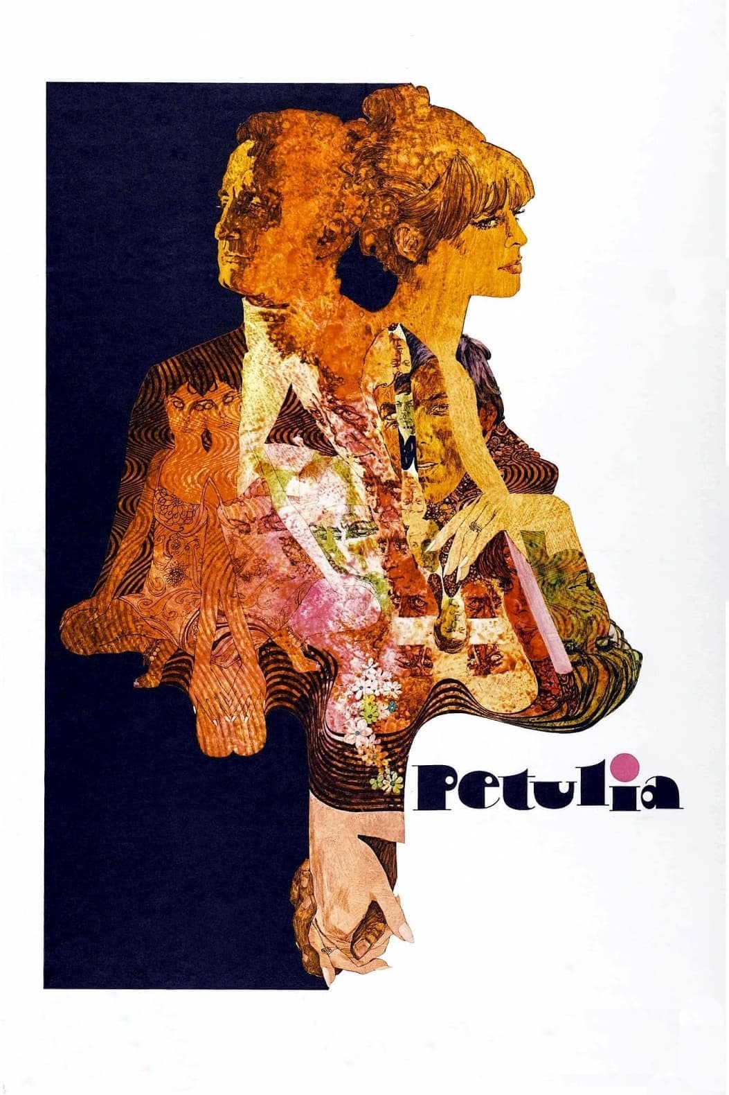 Petulia photo
