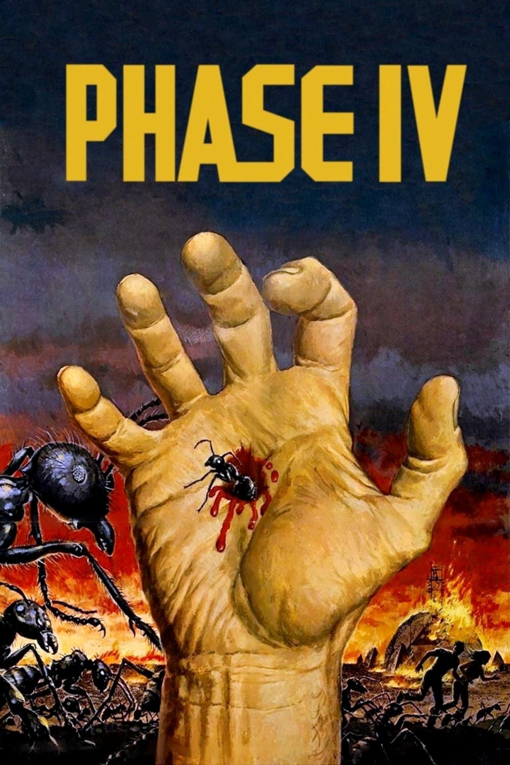 Phase IV photo