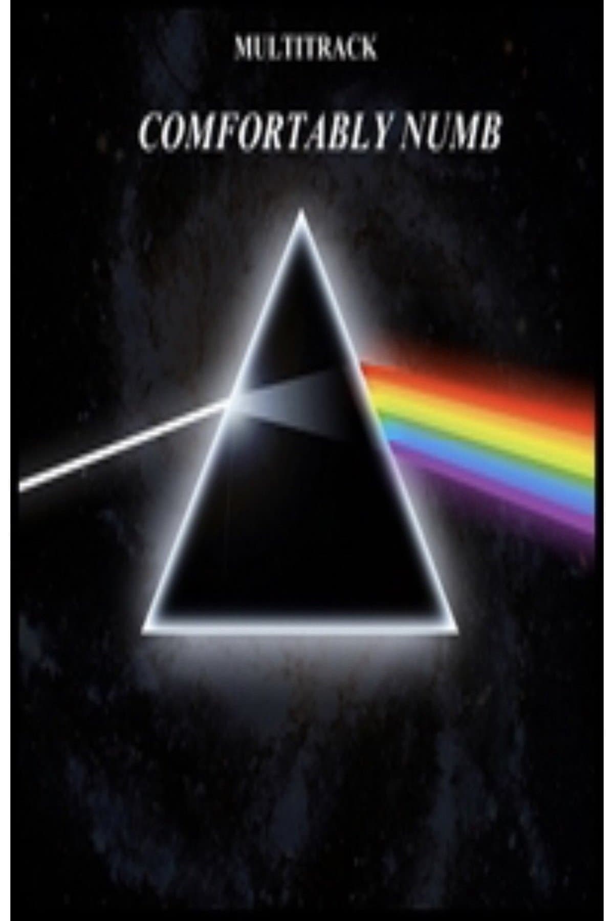 Pink Floyd - Comfortably Numb photo