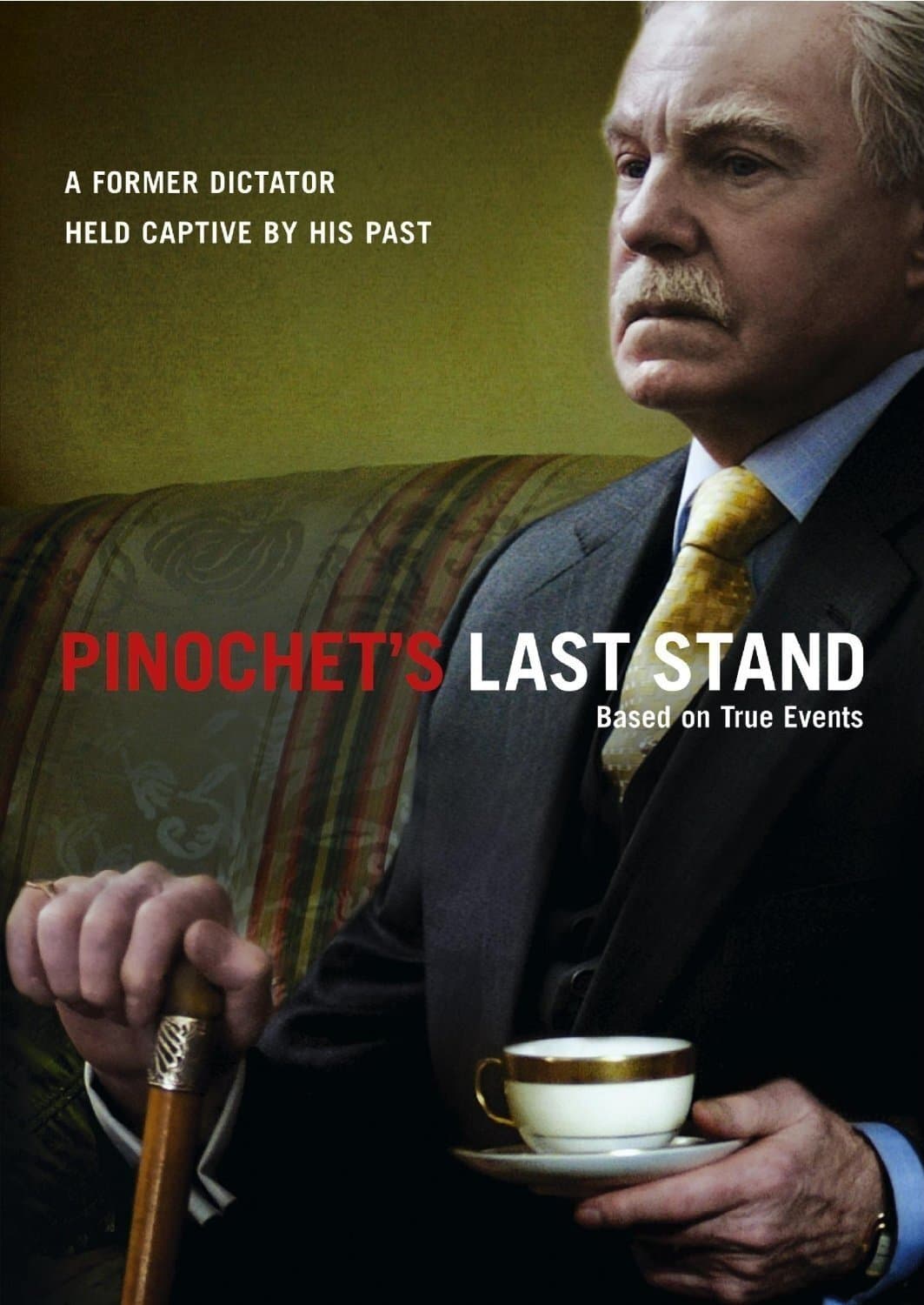 Pinochet in Suburbia photo