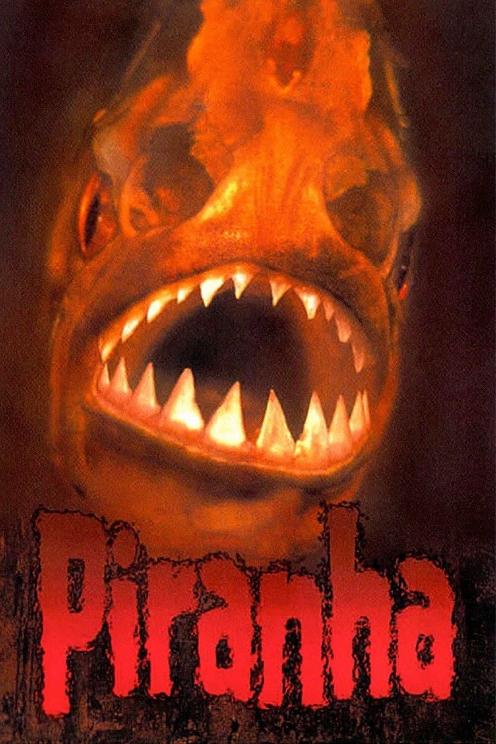 Piranha photo