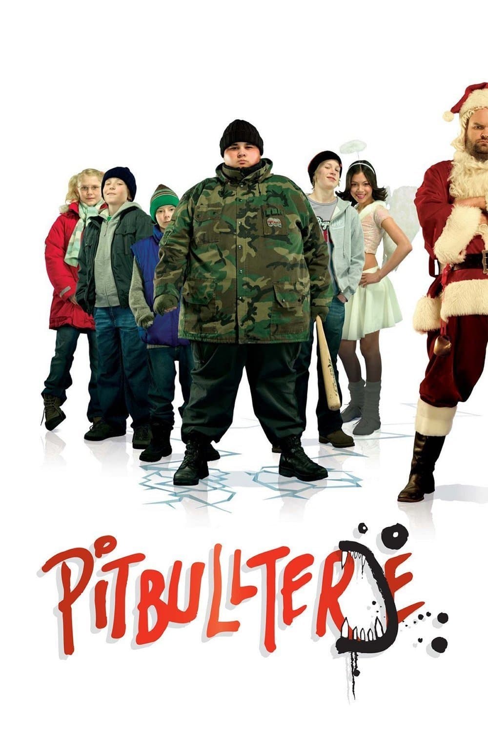 Pitbullterje photo