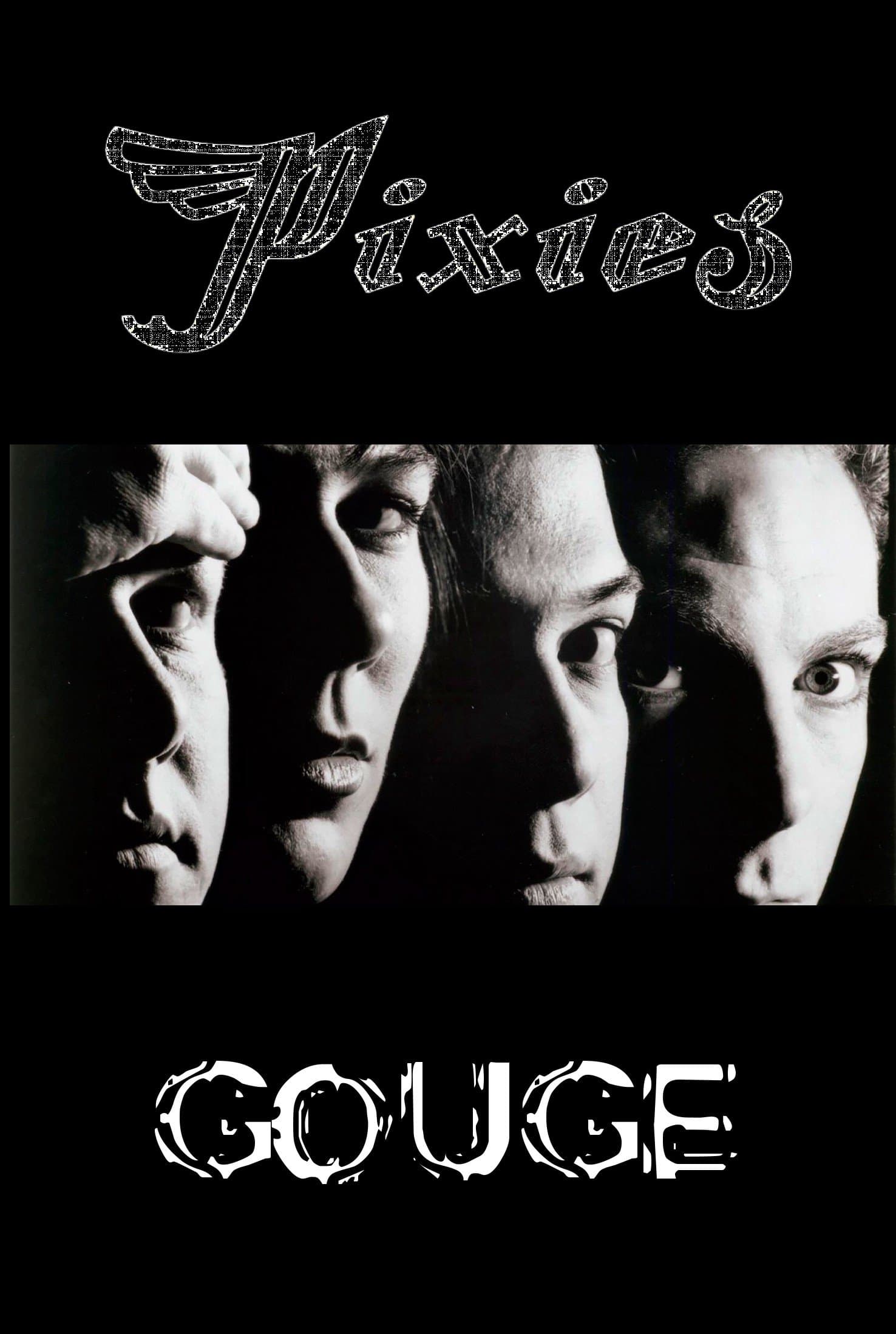 Pixies: Gouge photo