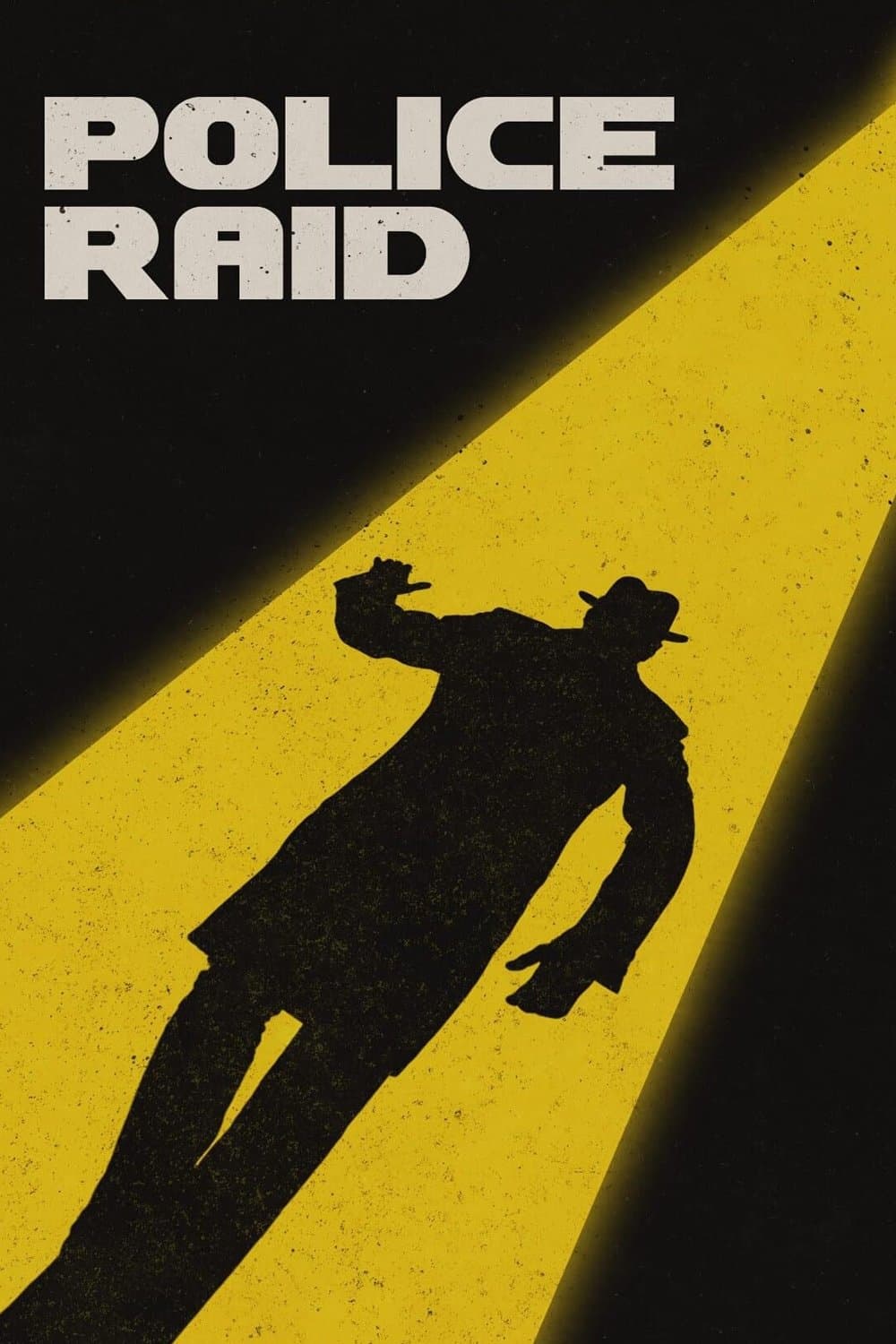 Police Raid photo