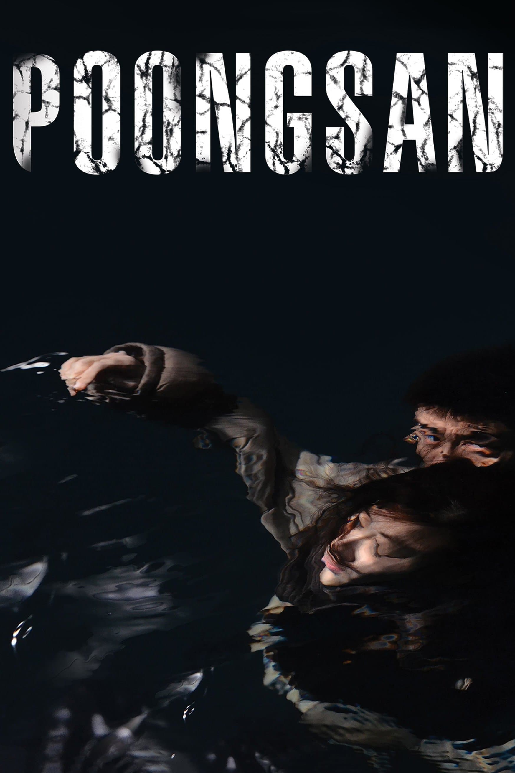 Poongsan photo