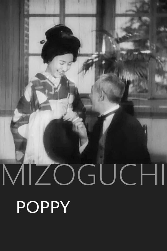 Poppy photo