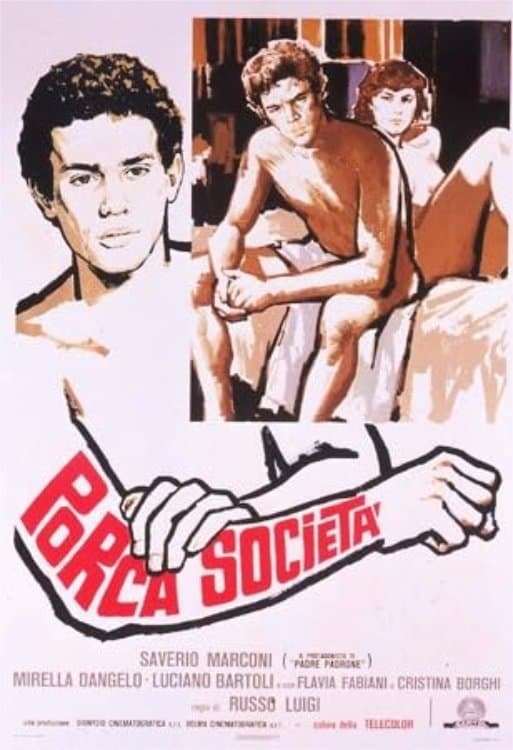 Porca società photo