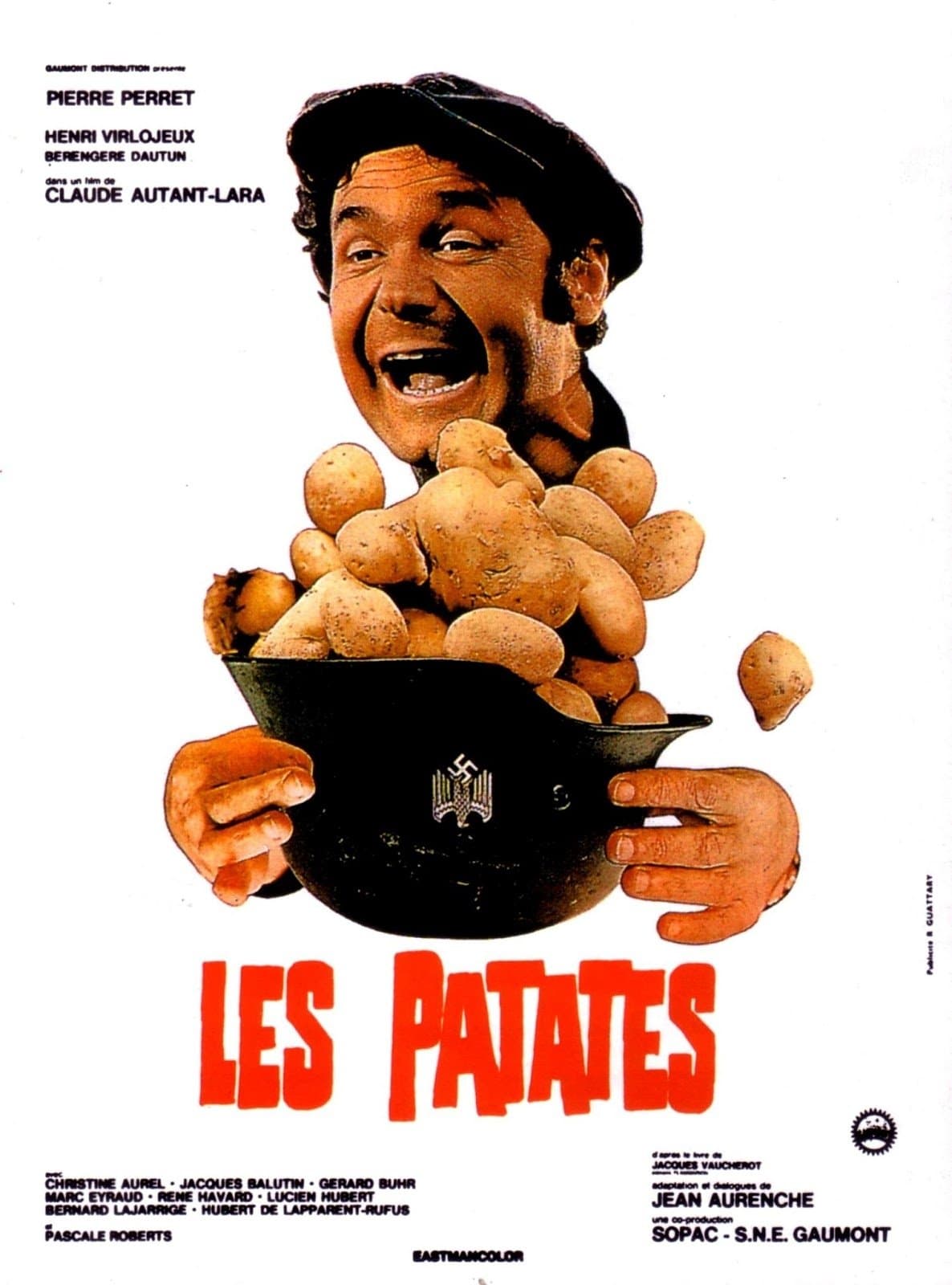 Potatoes photo