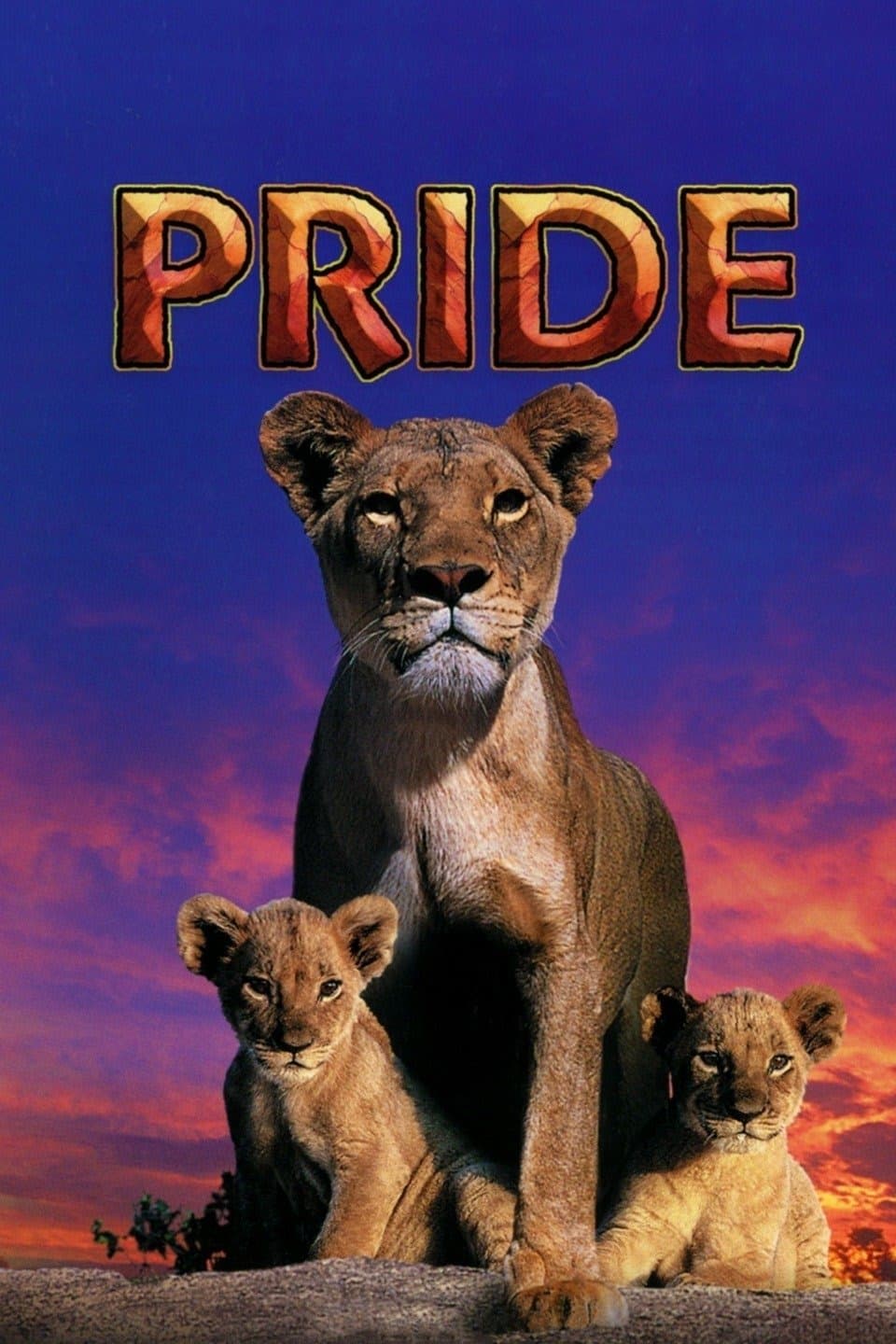 Pride photo