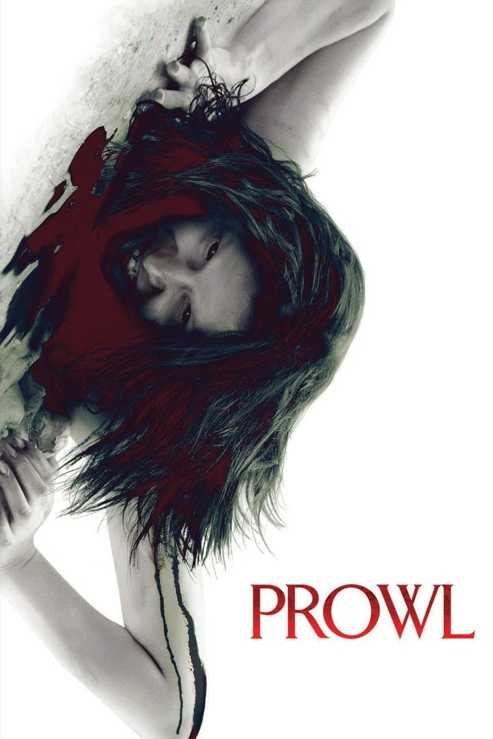 Prowl photo