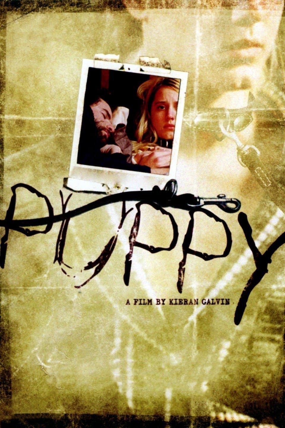 Puppy photo