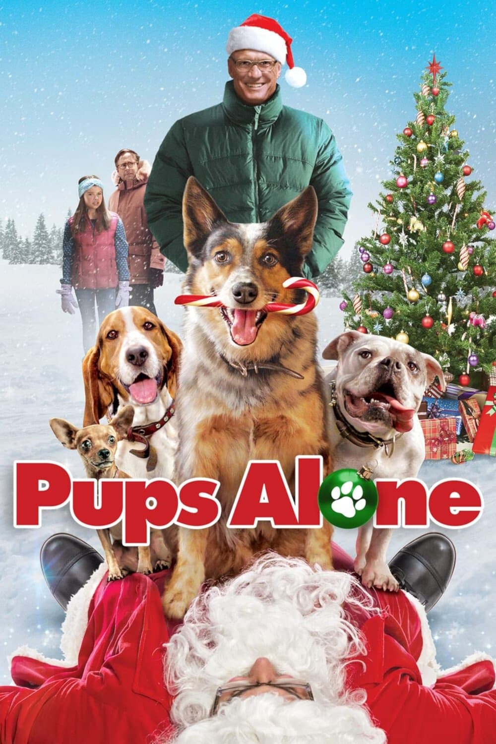 Pups Alone photo