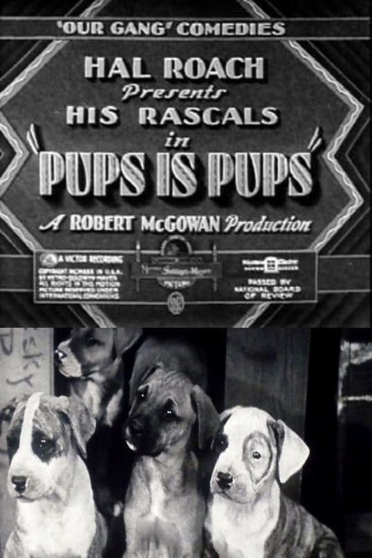 Pups Is Pups photo