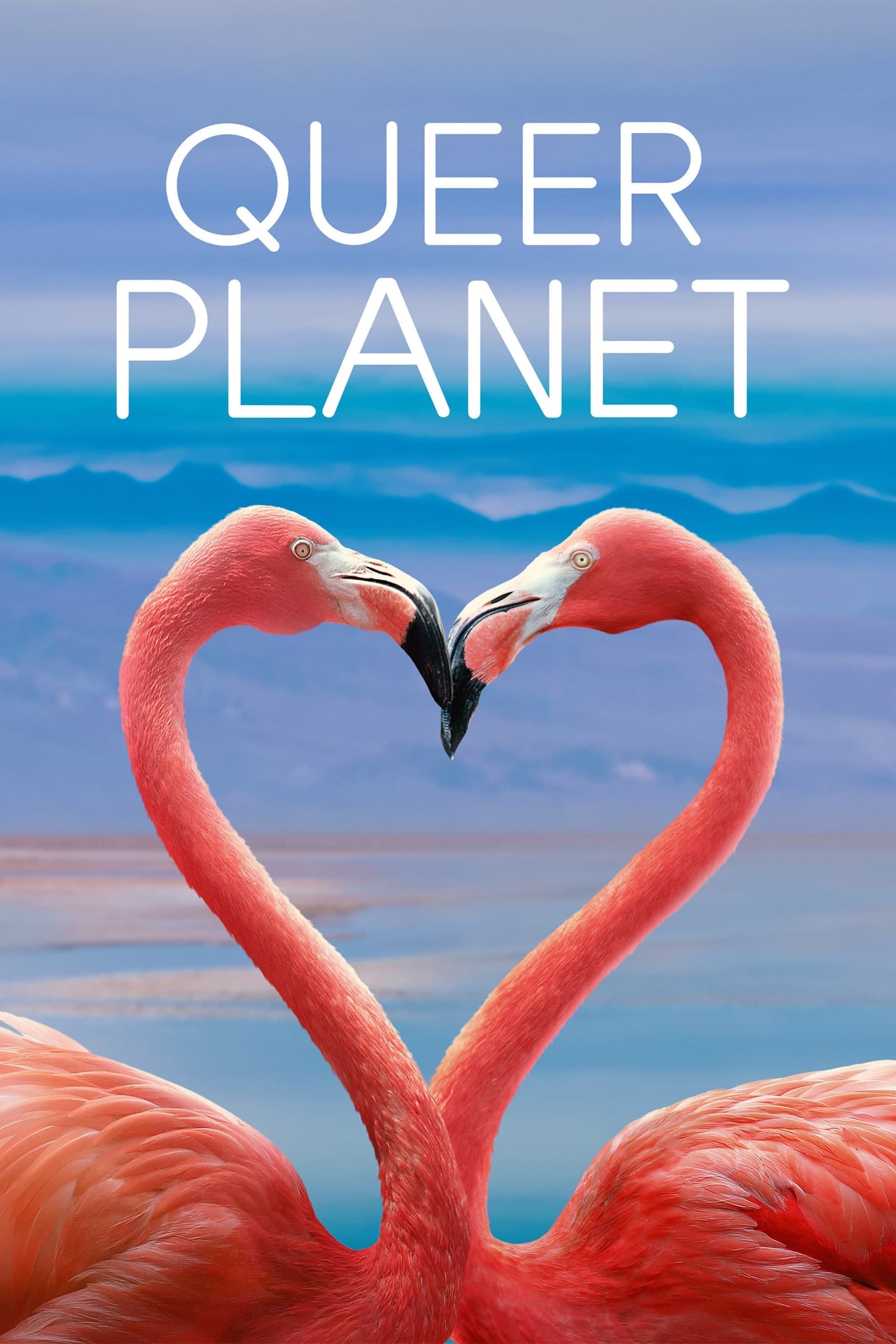 Queer Planet photo