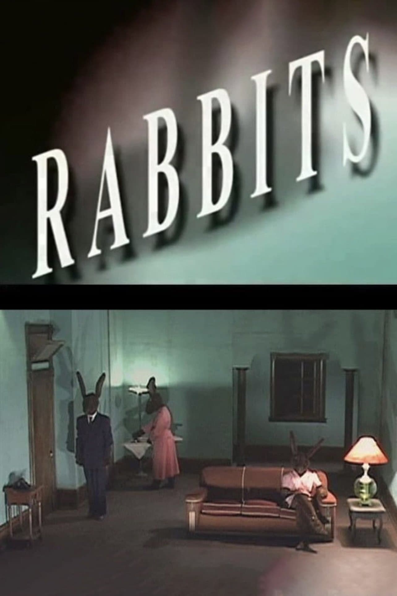 Rabbits photo