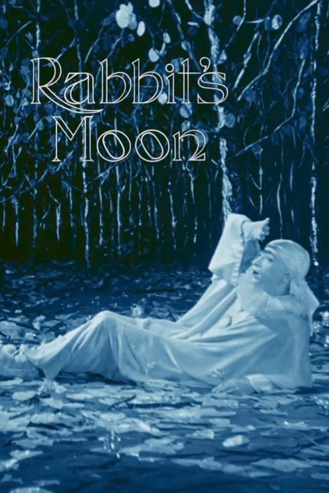 Rabbit's Moon photo