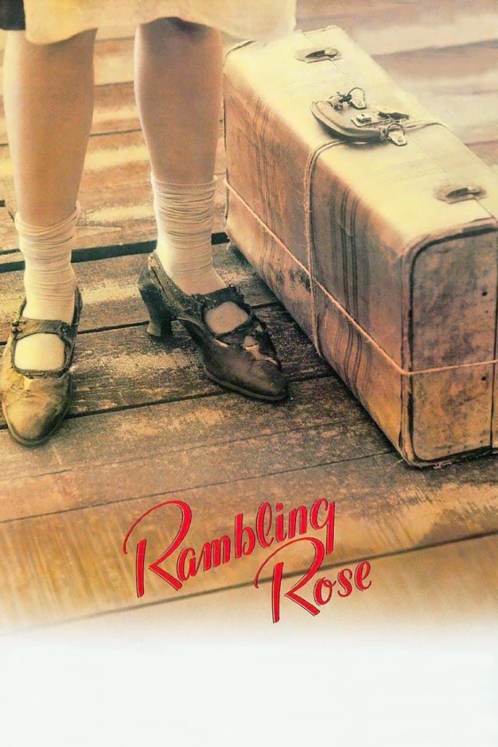Rambling Rose photo