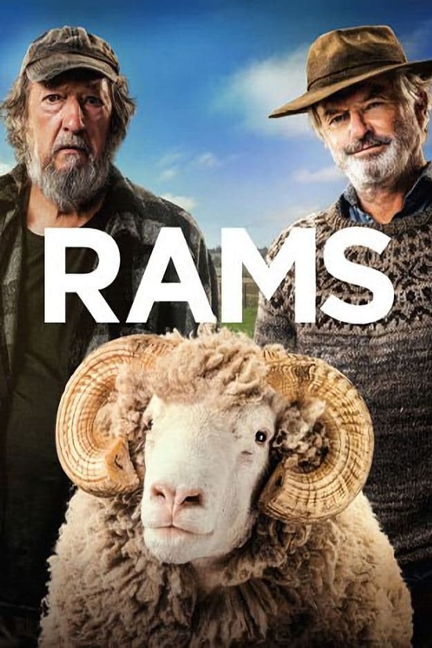 Rams photo