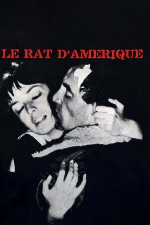 Rat Trap photo