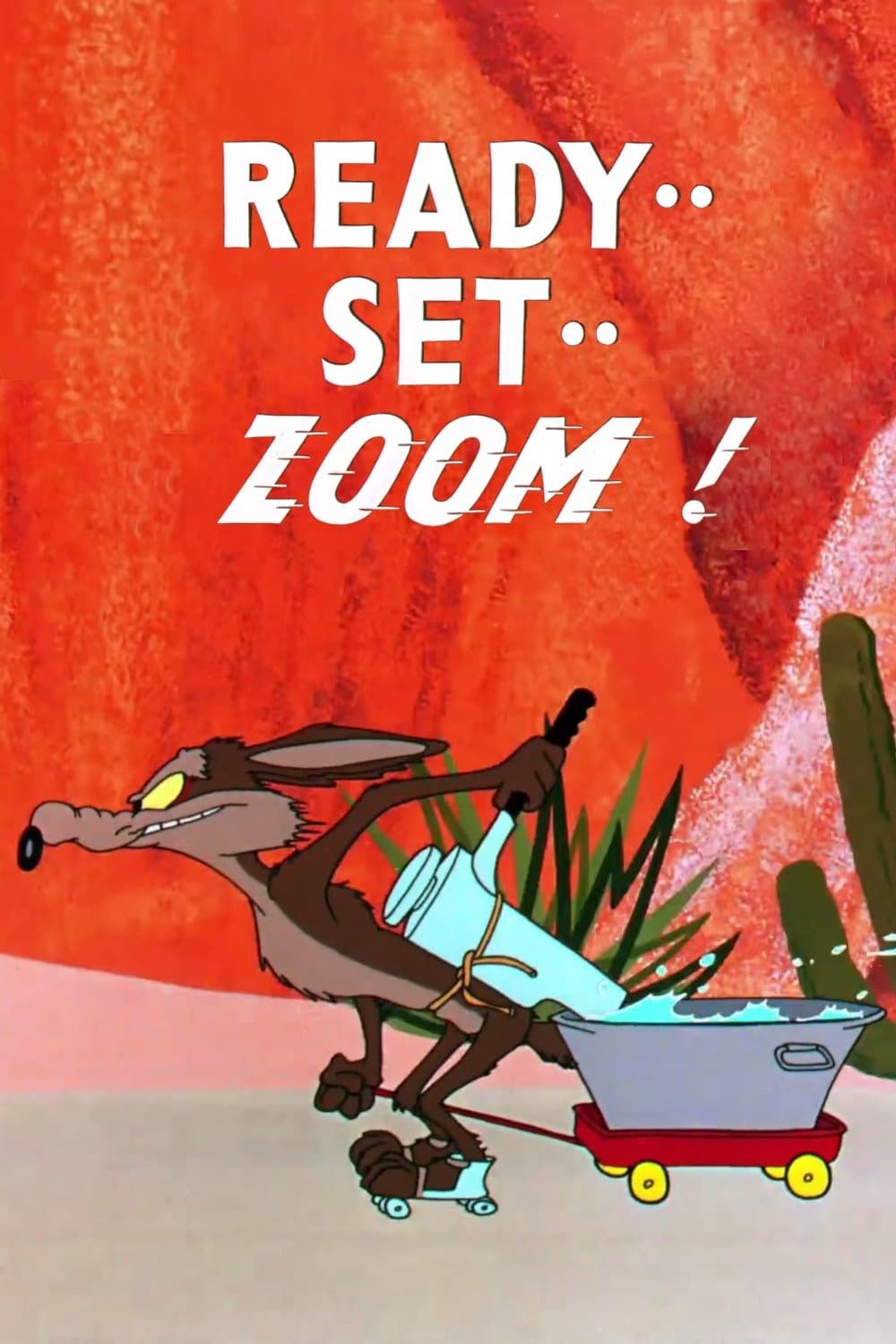 Ready.. Set.. Zoom! photo