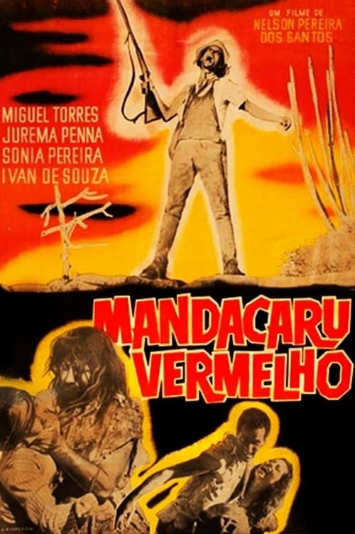 Red Mandacaru photo